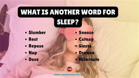 synonyms for slept